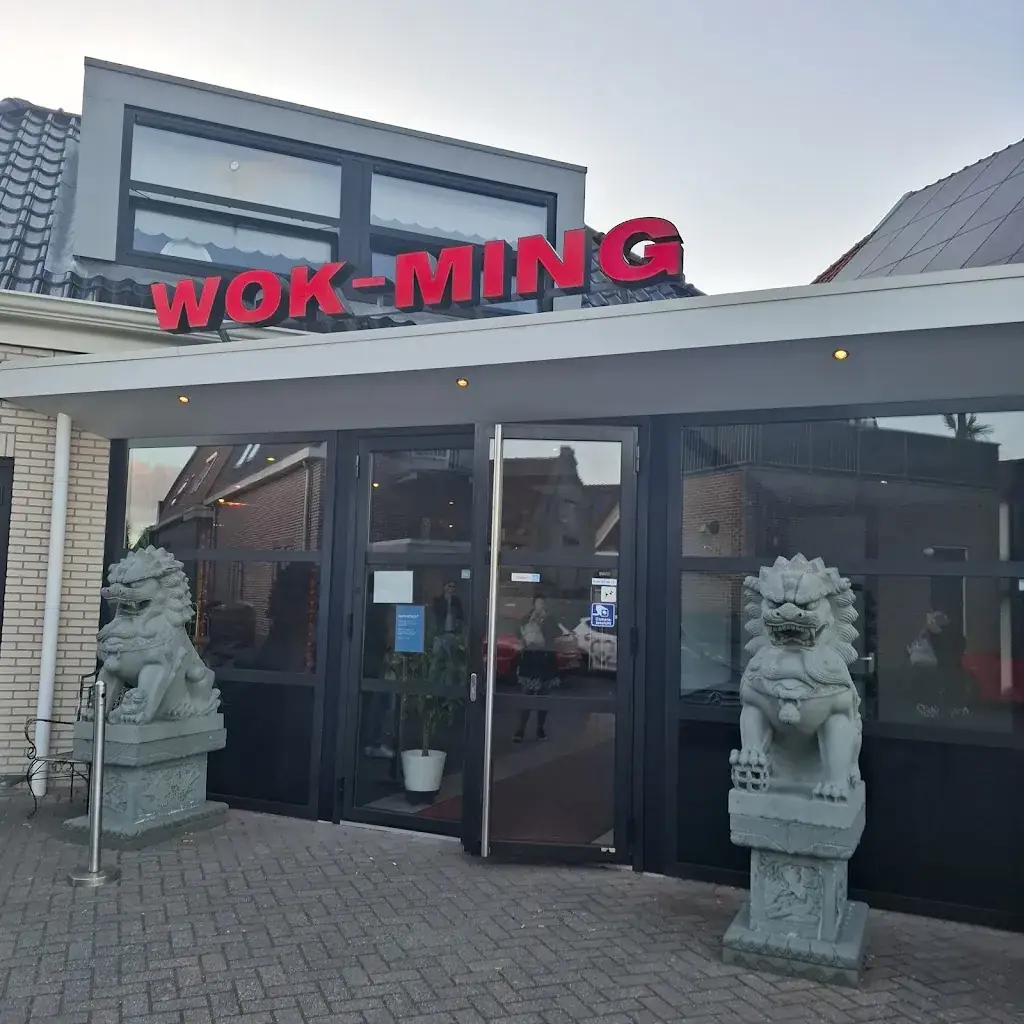 Eline de Weerd_Wokrestaurant Wok Ming_Joure_review