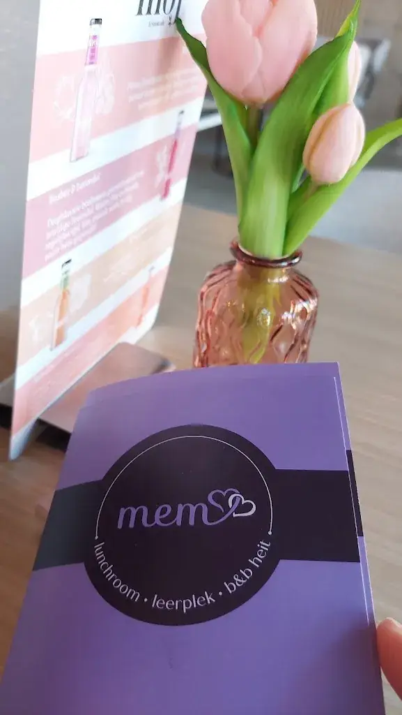 Linda Roersma_Lunchroom Mem_Joure_review