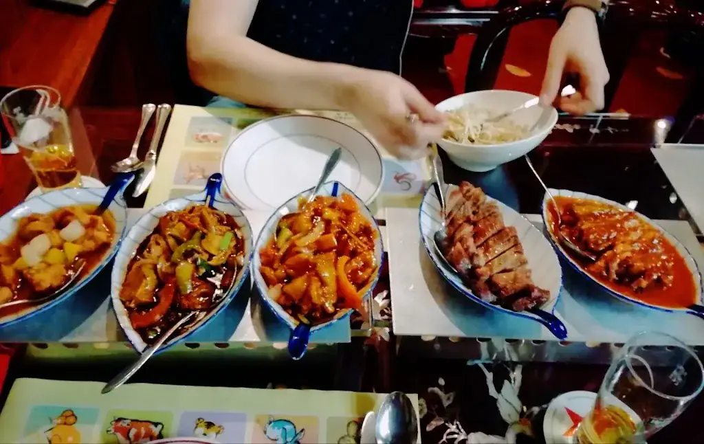 Indraja Juciūtė_Chinees Specialiteiten Restaurant Feng Sheng_Makkum_review