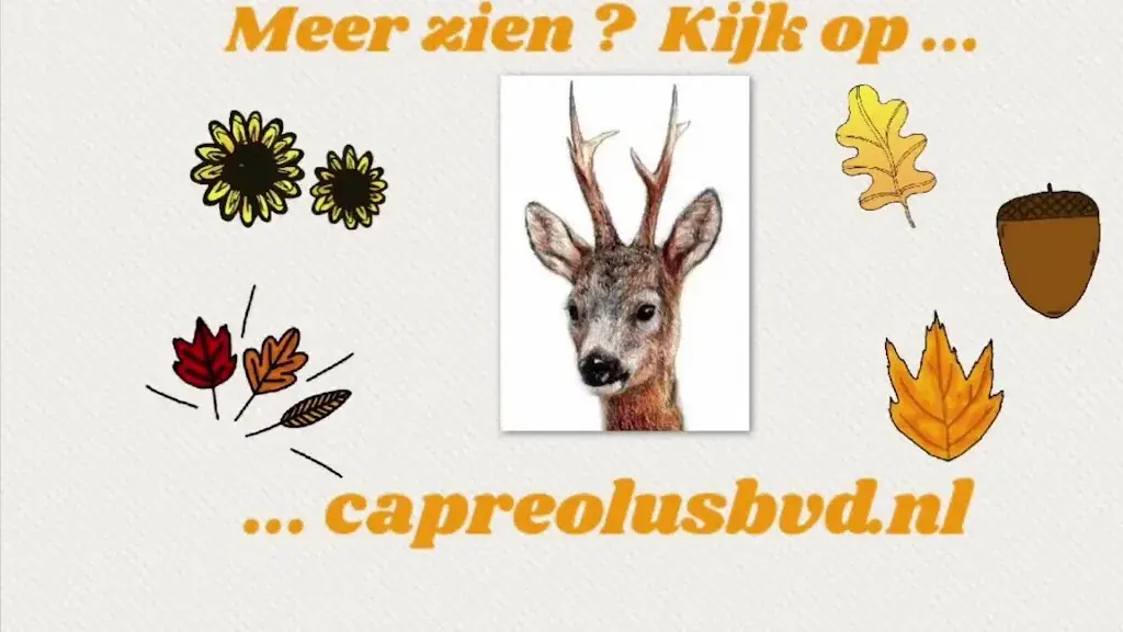 Nes Café_Nes_slider_image_2