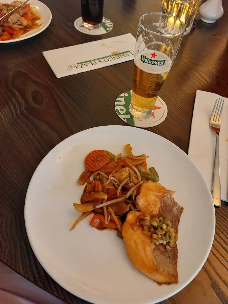 YASH KUMAR_Flamingo's Plaza Wokrestaurant_Emmen_review