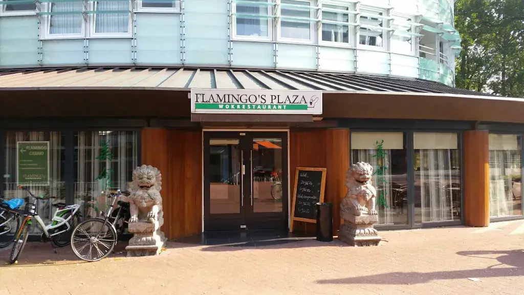 Flamingo's Plaza Wokrestaurant restaurant in Emmen