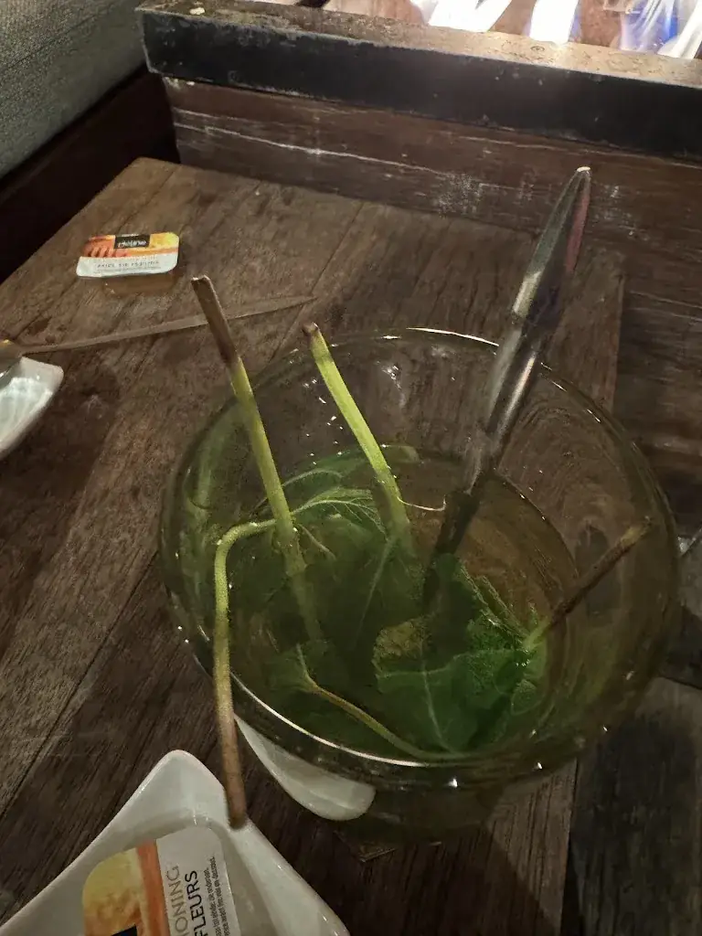 Elizabeth Humanenko_Van Heeckeren Grandcafé_Nes_review