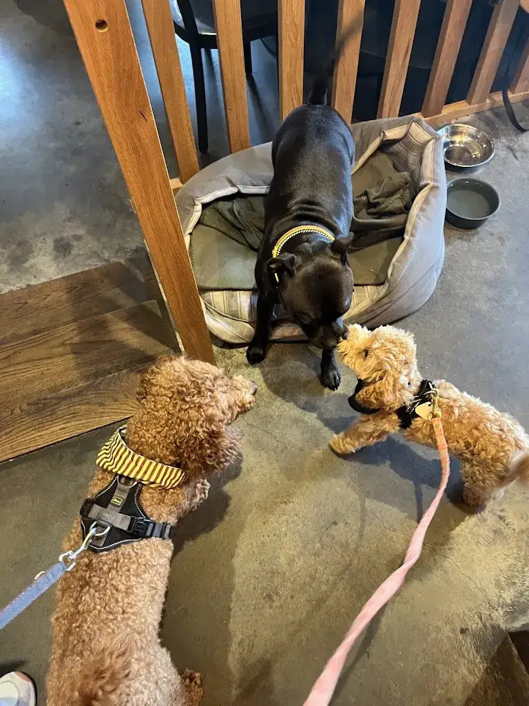 Franzi Weber_Overzee: Bistro & Logement_Nes_avis