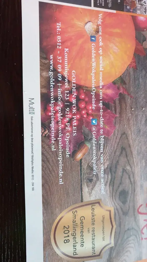 Menu_Golden Wokpaleis Opeinde_Opeinde_image_1