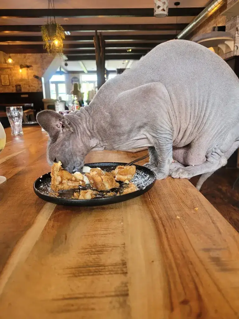 Menu_All Joor's raskattencafé_Oudega_image_6