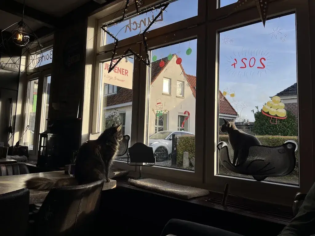 Ilse Hellemans_All Joor's raskattencafé_Oudega_avis