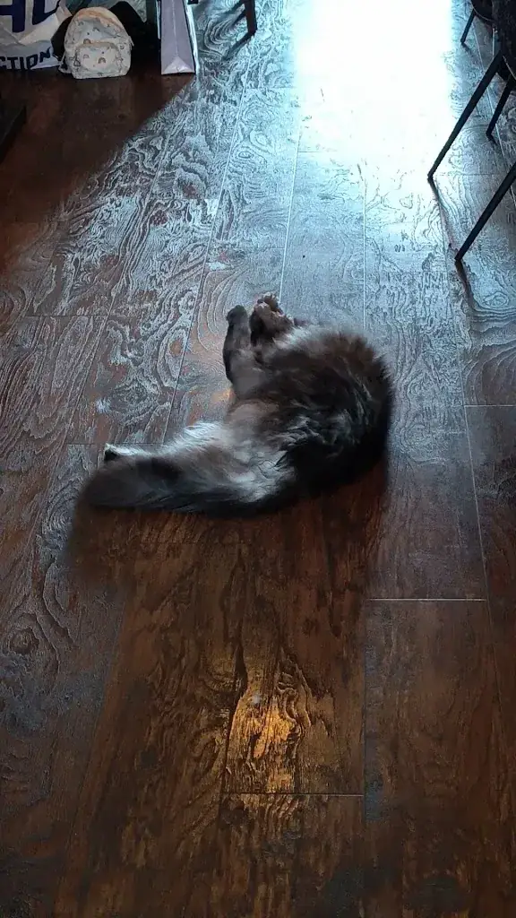 All Joor's raskattencafé_Oudega_slider_image_2