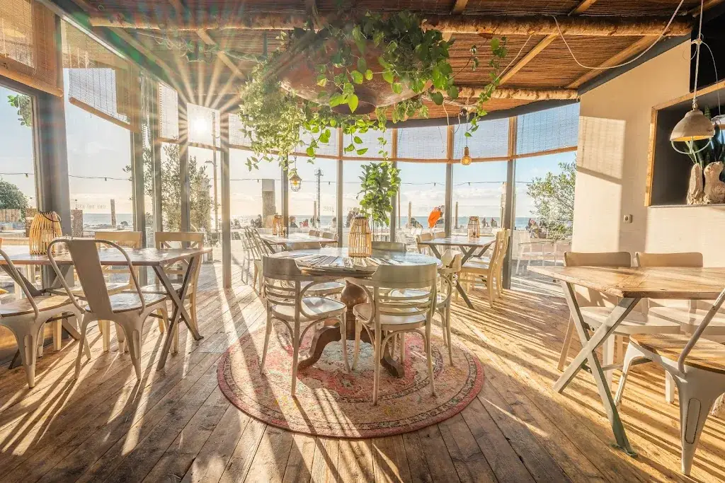 Gestrand, eten aan zee._Oost-Vlieland_slider_image_1