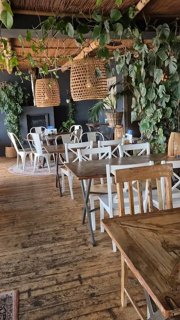 Gestrand, eten aan zee._Oost-Vlieland_slider_image_3