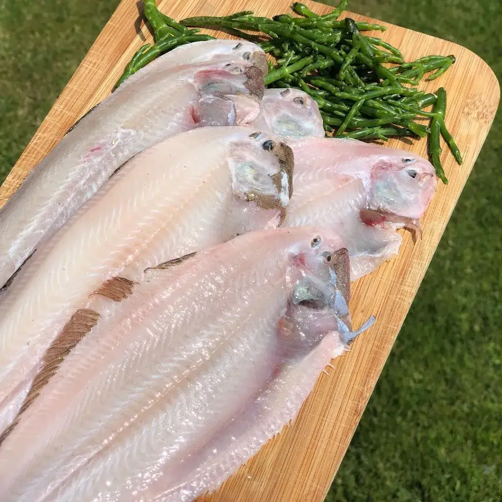 Menu_De Vlielandse Zeebaas_Oost-Vlieland_image_8