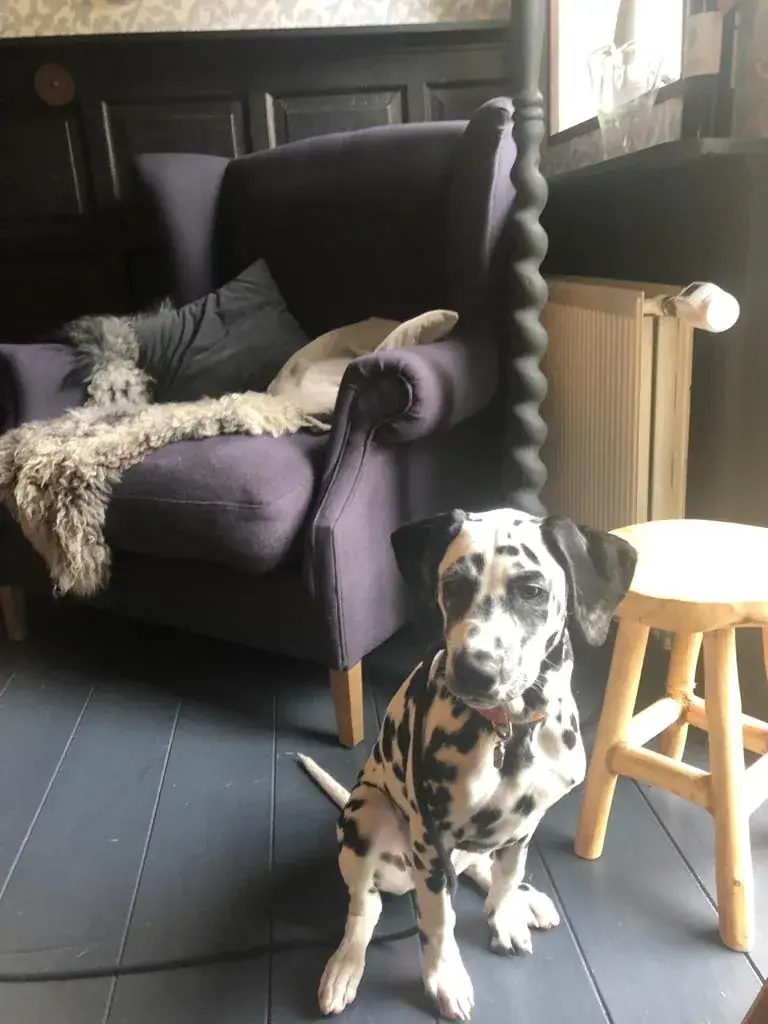 D J_Inn Friesland_Ternaard_review