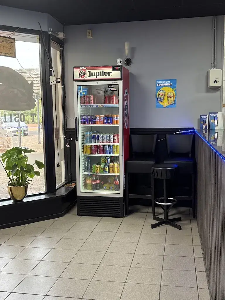 Sevde Ozcan_Pizzeria Fryslân_Twijzelerheide_recensione