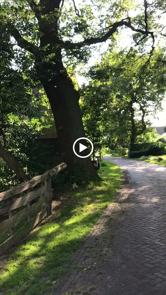 Oud Saksische Koffie- & Pannenkoekboerderij 't Hoes van Hol-An_Aalden_slider_image_2