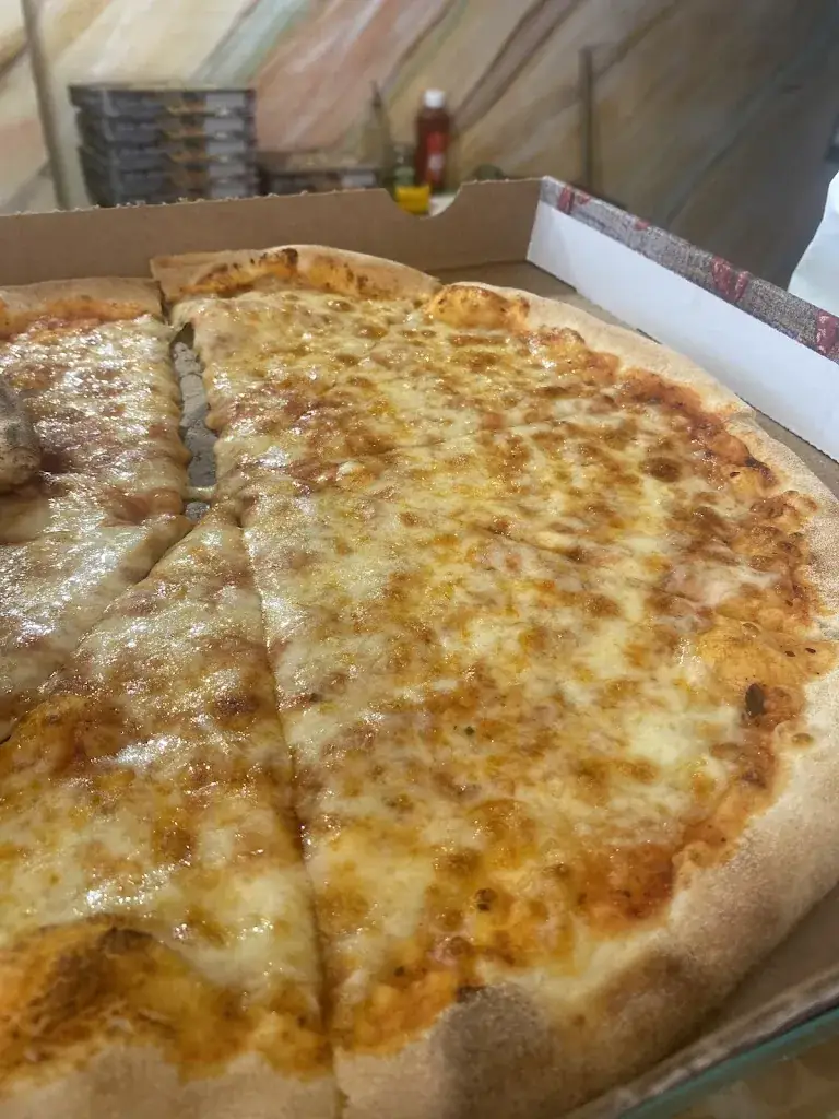 Ammar Ahmed_La roza_Haag_review