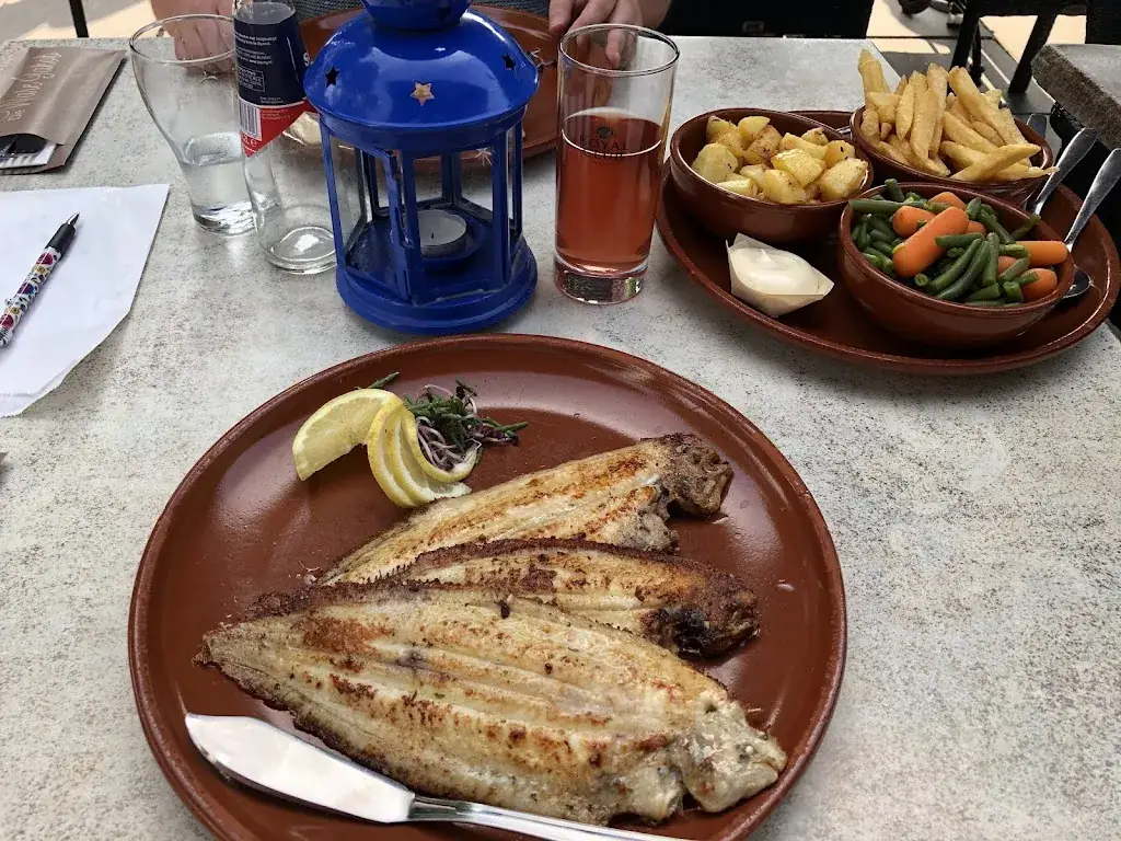 Tomáš Slezák_De Ware Jakob_Schiermonnikoog_review