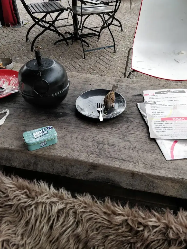 Gijs van der Laan_Tox Bar_Schiermonnikoog_Bewertung