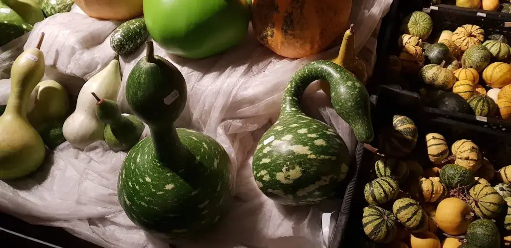 Menu_'t Grachthuys Bredevoort_Bredevoort_image_7