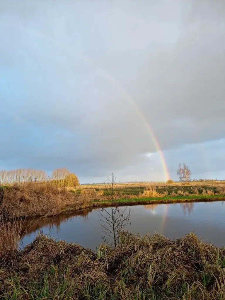 Piet dop_Paviljoen Driewegsluis_Nijetrijne_review