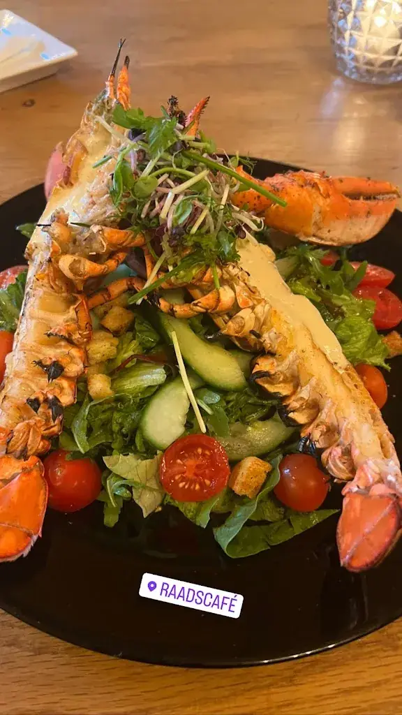 Sam Firouz_Raadscafé_West-Terschelling_recensione