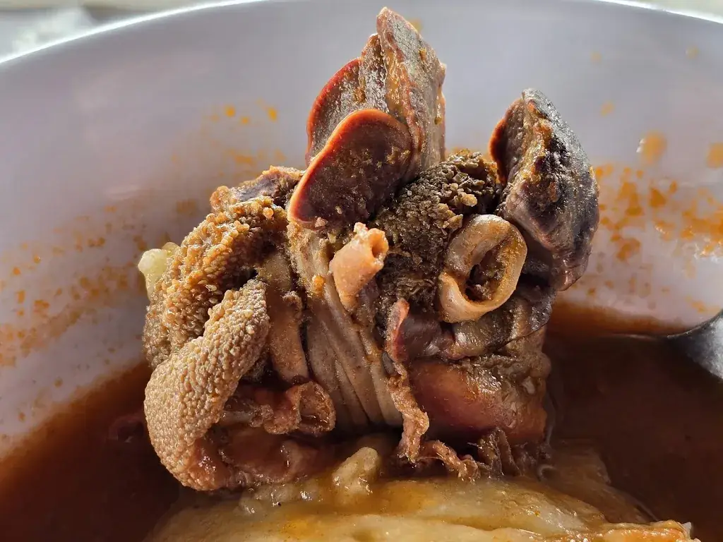 Jacco_The ratatouille_West-Terschelling_Bewertung