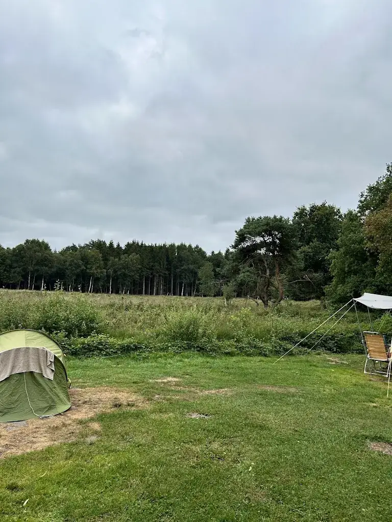 helen watkins_Voscheheugte_Mantinge_review