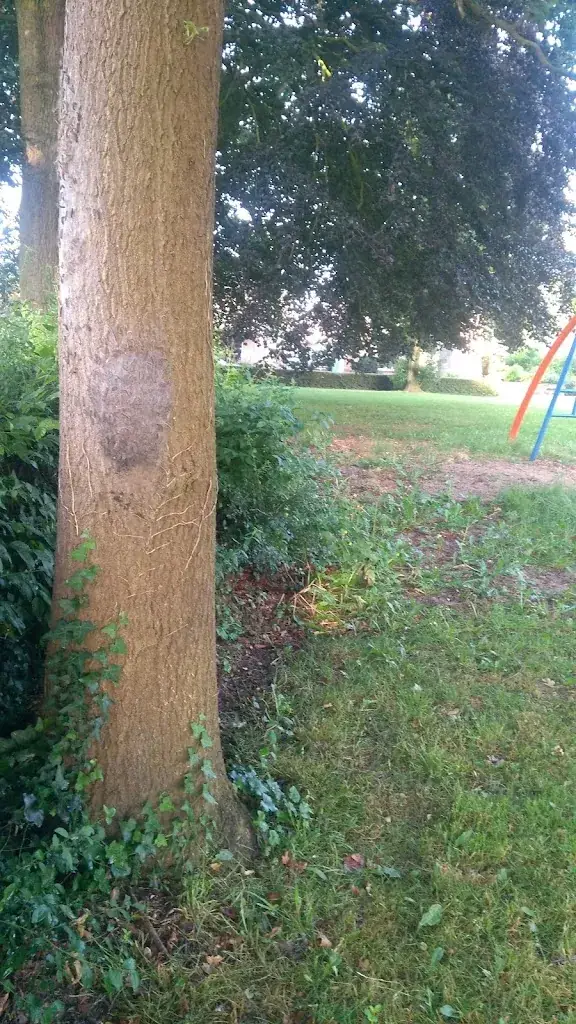 Xandra Meijer_Stichting Dorpshuis Angerlo_Angerlo_review