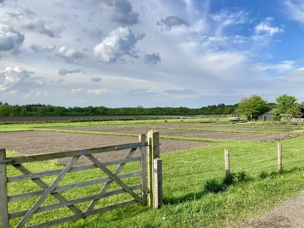 Tom Hartig_Huisje James_Ugchelen_review