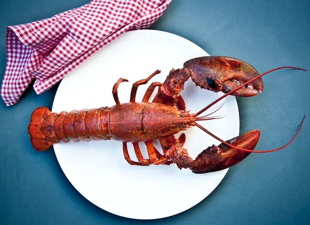 Martins Brasserie_Apeldoorn_slider_image_2