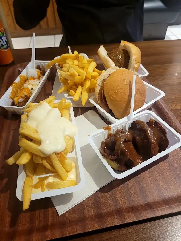 G. Fledderus_'t Pleintje_Beesd_recensione