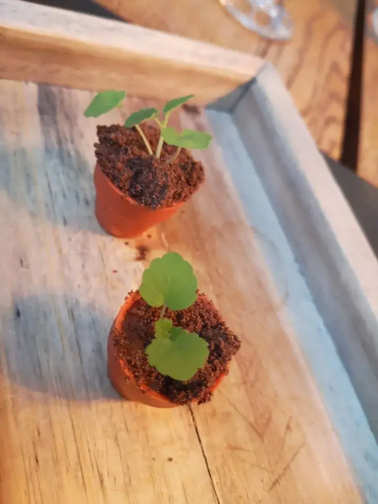 Menu_Restaurant Old Skool_Druten_imagen_5