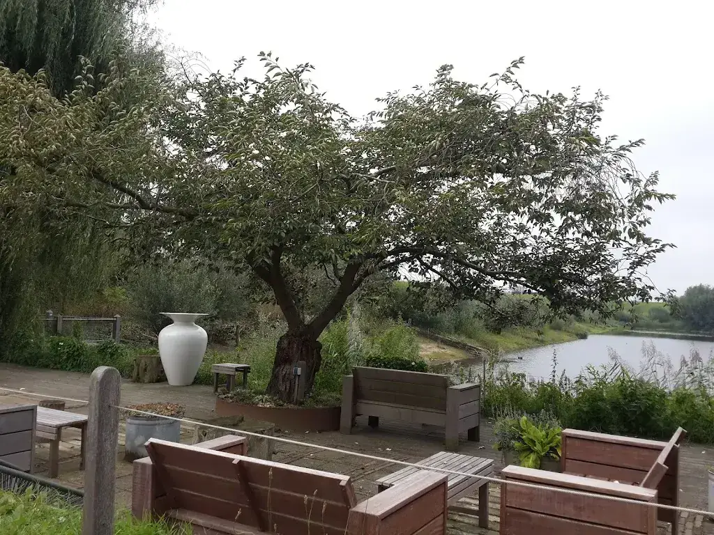 Steve Mecinski_Restaurant Zijdewinde_Bemmel_avis