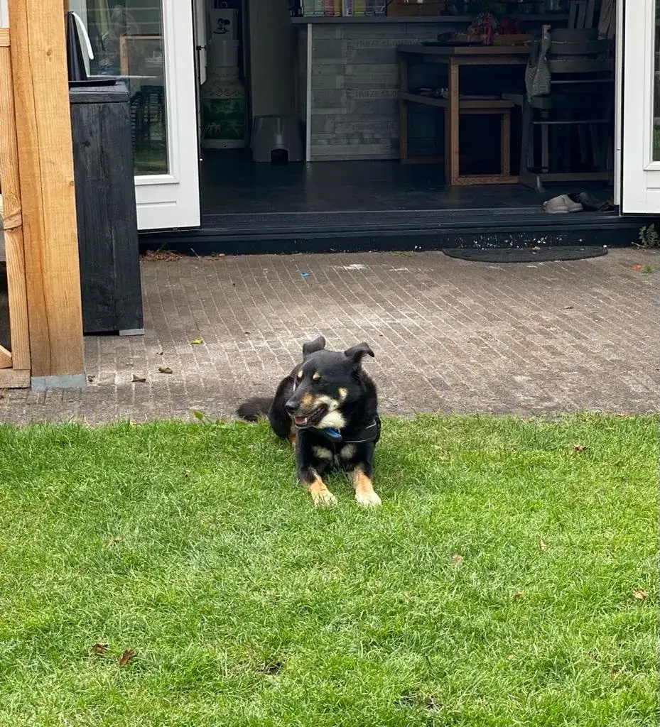 Jeanette Angel_B&B de koffietuin (Ber-Bas)_Beekbergen_reseña