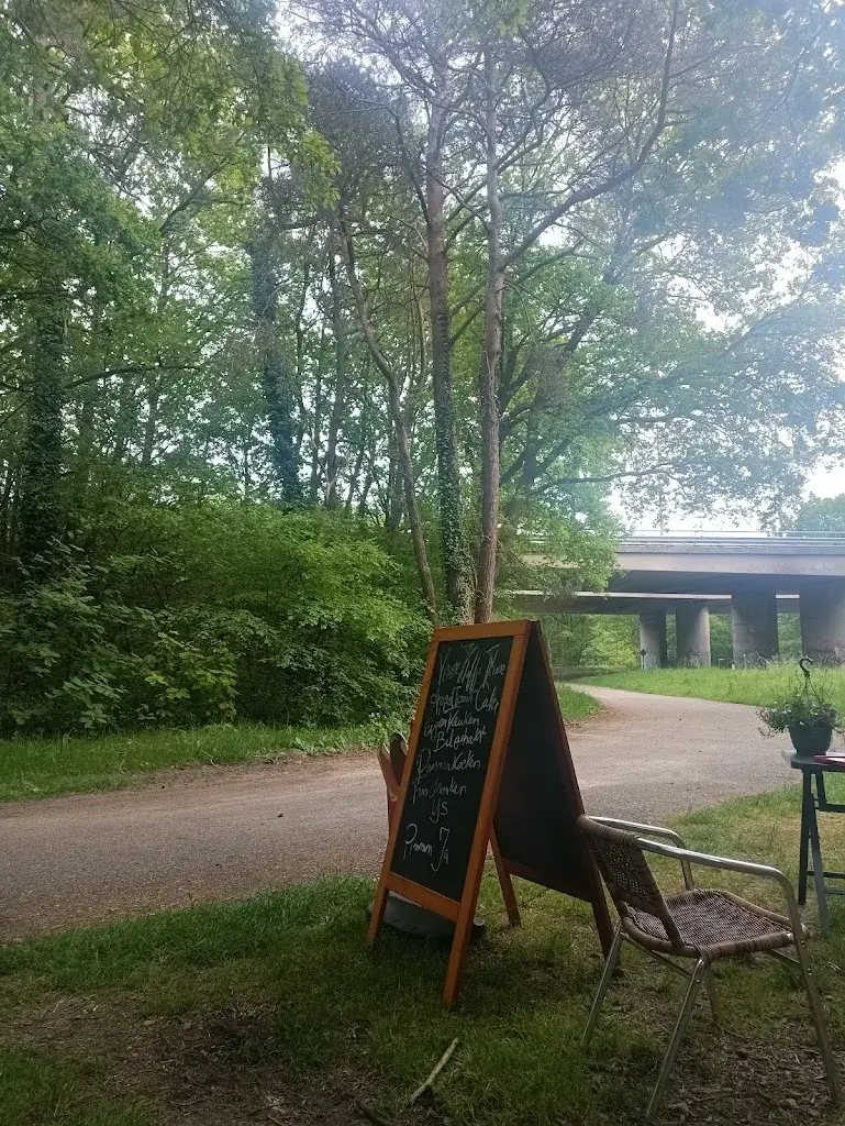 Sean Corringham_Hallo Bolle Gijs_Beekbergen_review