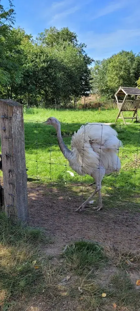 Sheriff Pizzaro_Hof van Eckberge_Eibergen_review