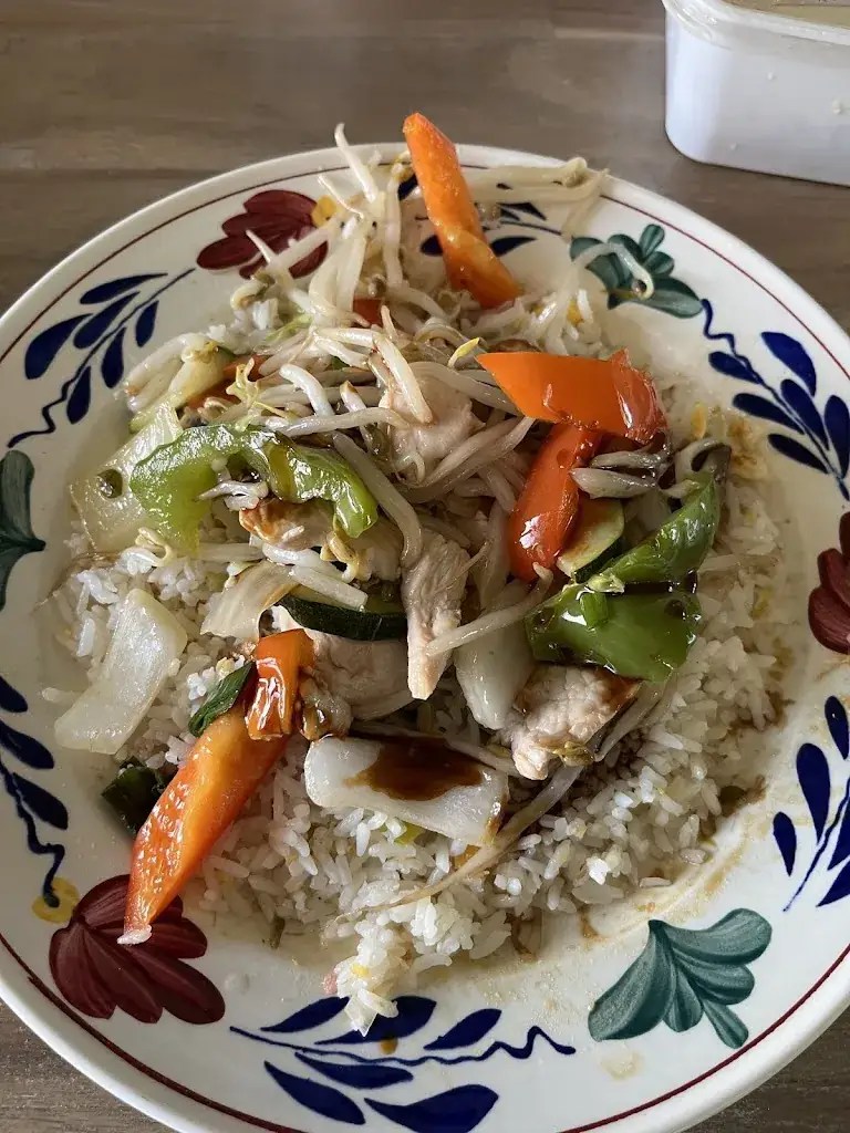 Menu_Chinees-Indisch Restaurant Kota Radja_Beilen_image_2