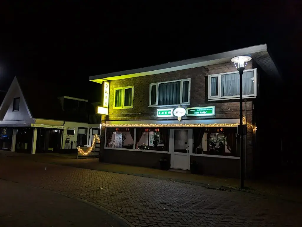 Joel Tay_Chinees-Indisch Restaurant Kota Radja_Beilen_review