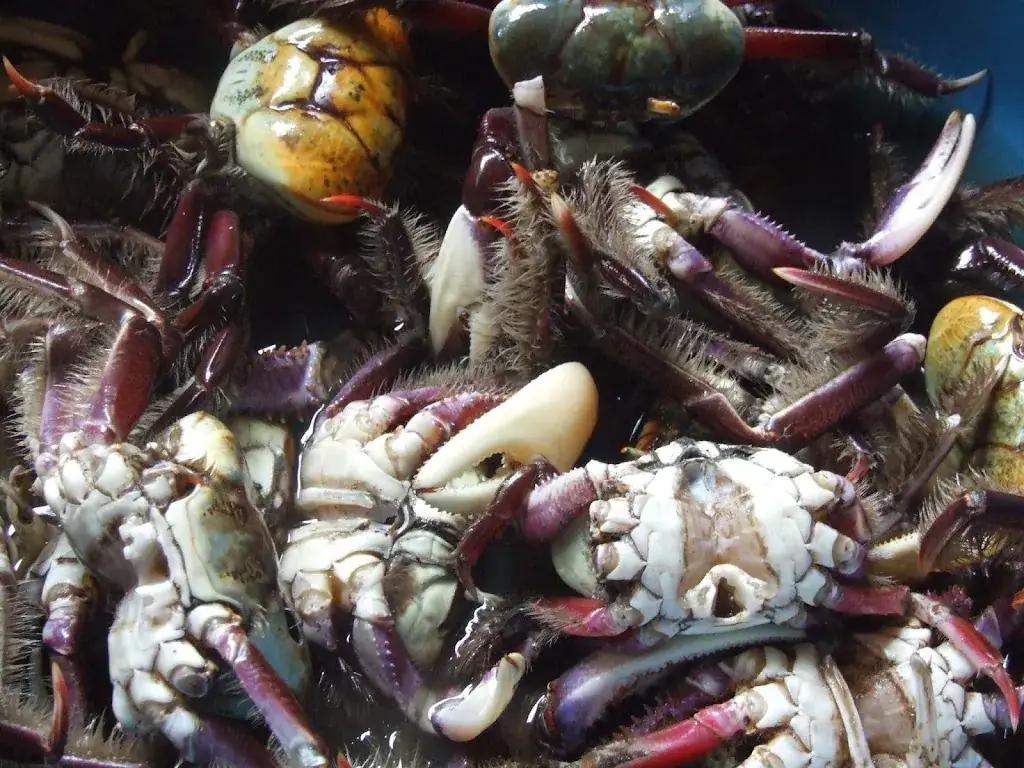 Menu_The Seafood Bar_Utrecht_image_5