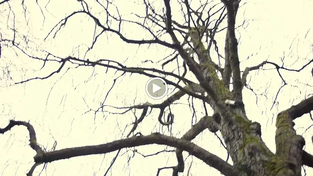 Bar Bistro Brink20_Laren_slider_image_2