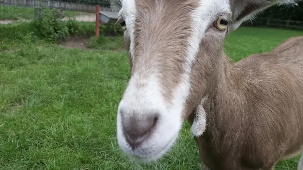 The Nature Farm Brinkhorst restaurant à Amersfoort