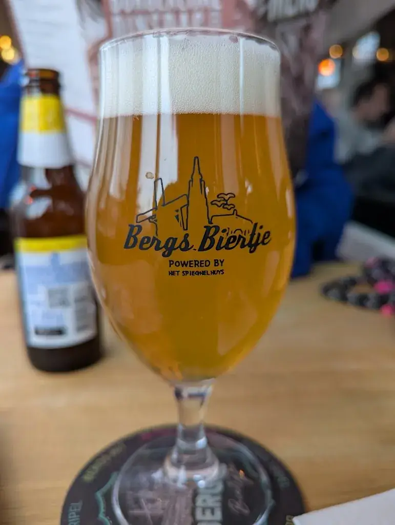 willem-jan goossens_Het Spieghelhuys_Berg_recensione