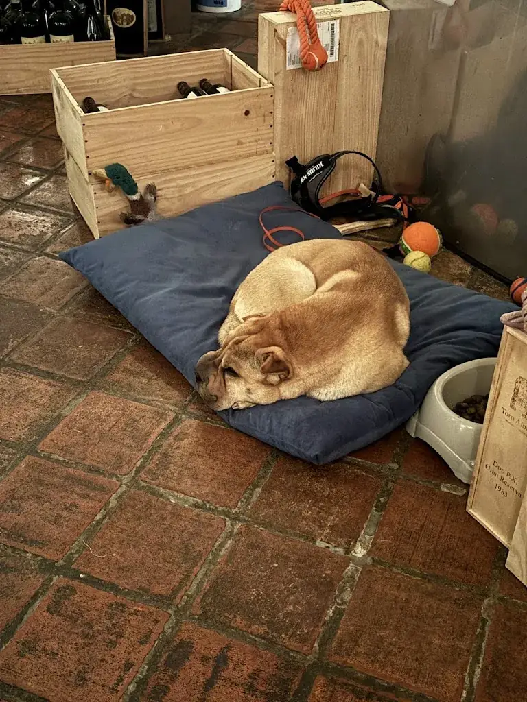 AH H_Restaurant De Utrechtsedwarstafel_Amsterdam_review