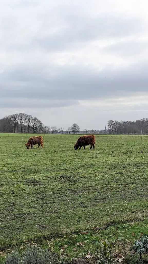 Edwin Blok - van Enck_De Hoge Loo_Ommel_recensione