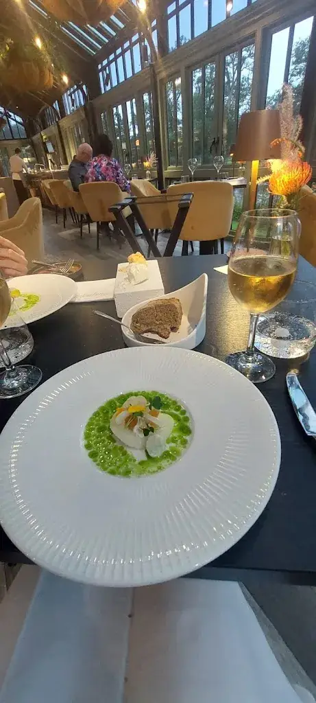 Catalin Georgescu_Kasteel Engelenburg_Brummen_recensione