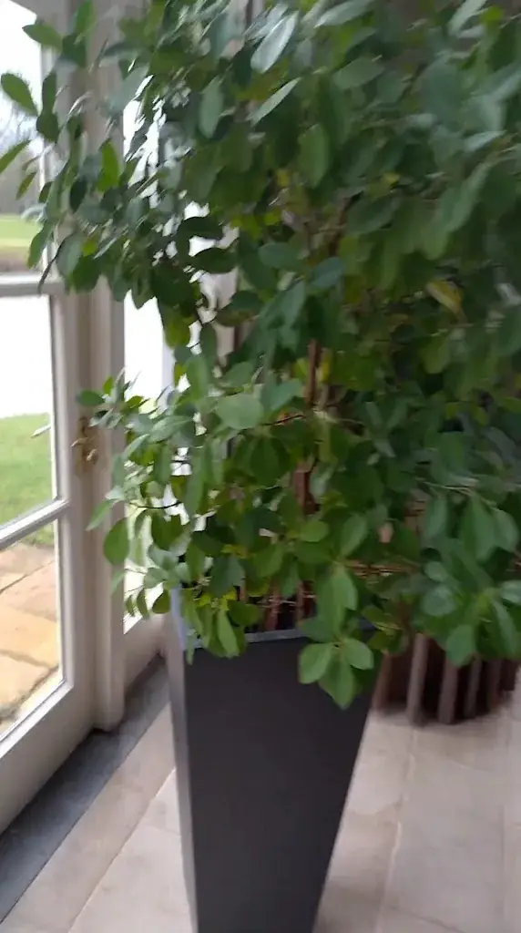 Kasteel Engelenburg_Brummen_slider_image_2