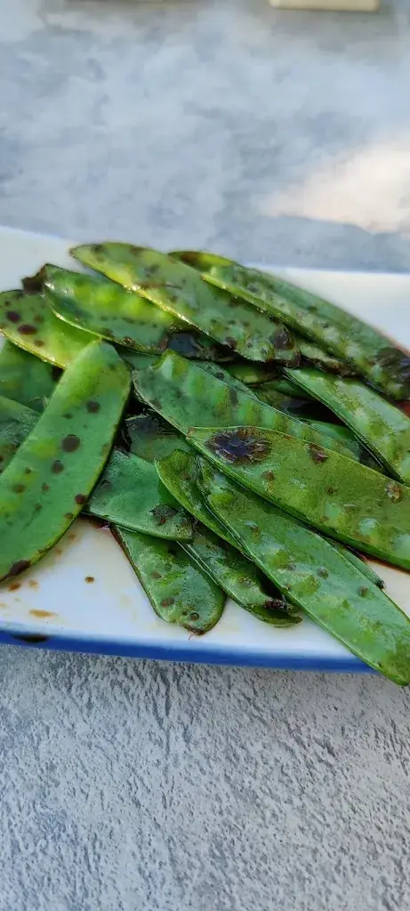 Mr. Cockatoo_Itamae Japanese Restaurant_Zoetermeer_review