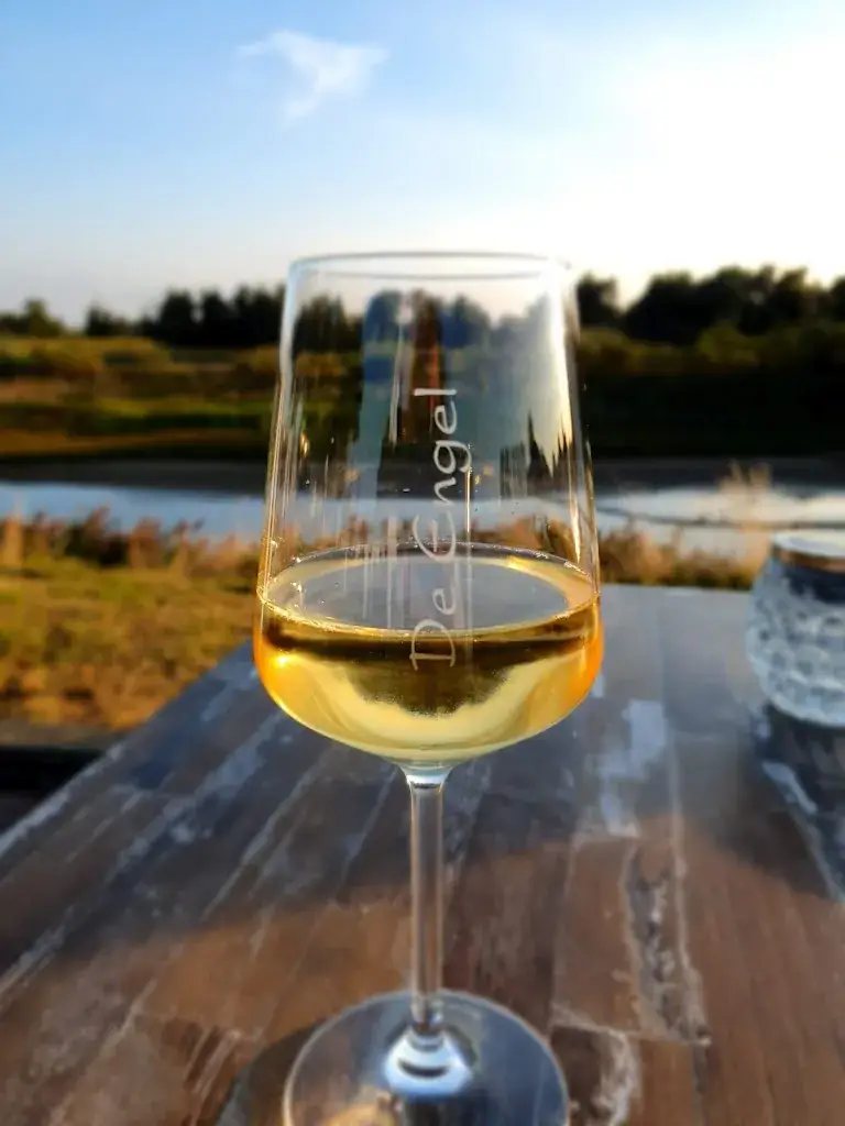 Menu_Bij de Engel_Dodewaard_immagine_5