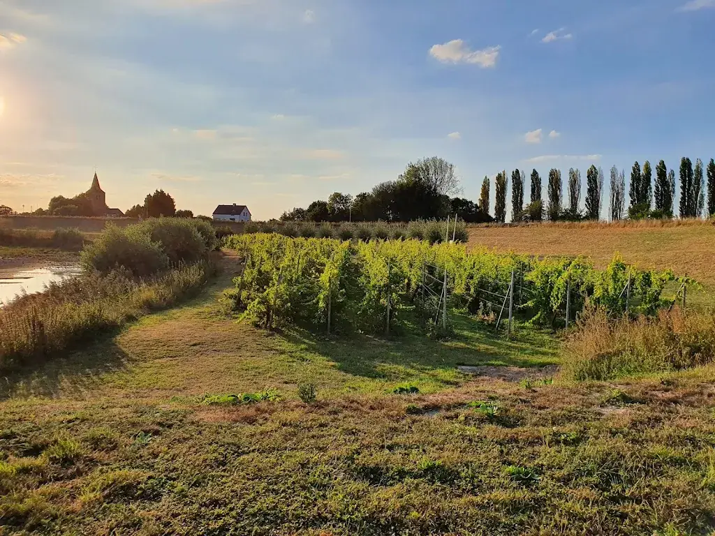 Gracy Sand_Bij de Engel_Dodewaard_recensione