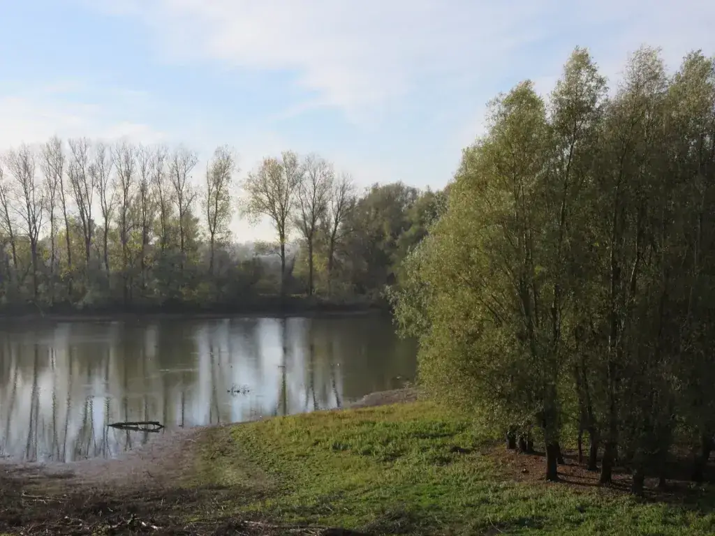 Deest ristorante a Deest