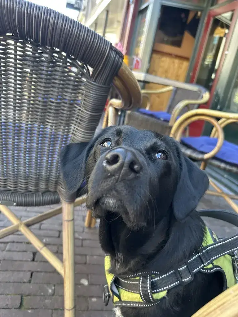 Hans Lind_Café Den Tollensteghe_Culemborg_review